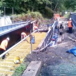 EcIA for Repair Works to a Scheduled Ancient Monument at Cromford Canal SSSI, Derbyshire