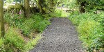 We conducted a badger survey and mitigation for local authority in Derbyshire