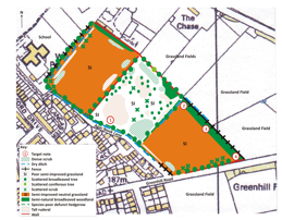 extended phase 1 habitat surveys